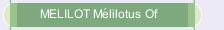 MELILOT Mélilotus Of